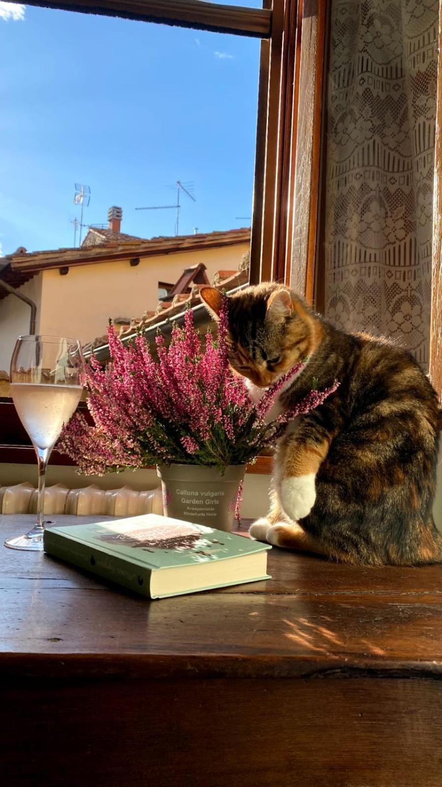 Casa Letizia Hébergement de vacances *